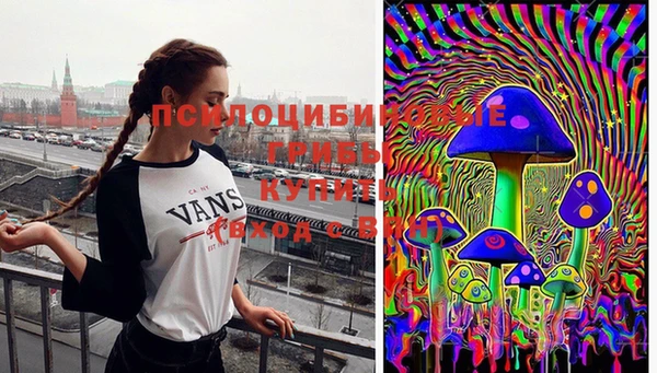 мяу мяу мука Абинск