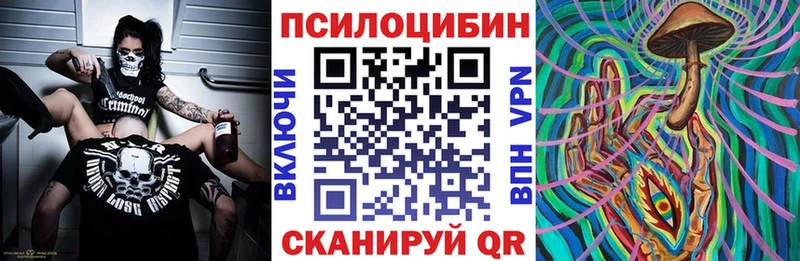 где найти наркотики  Павловский Посад  Псилоцибиновые грибы мицелий 